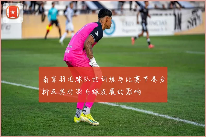 南京羽毛球队的训练与比赛节奏分析及其对羽毛球发展的影响