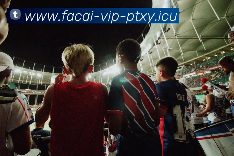 开云体育APP 封面图